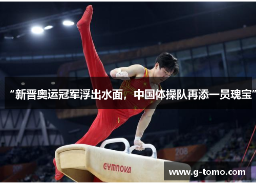 “新晋奥运冠军浮出水面，中国体操队再添一员瑰宝”